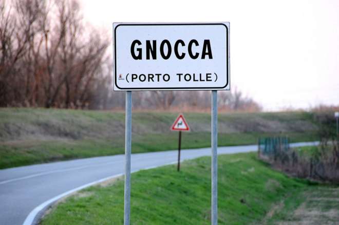 gnocca